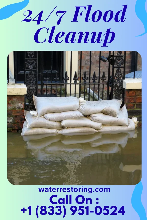 24/7 Flood Cleanup in Webb, AL